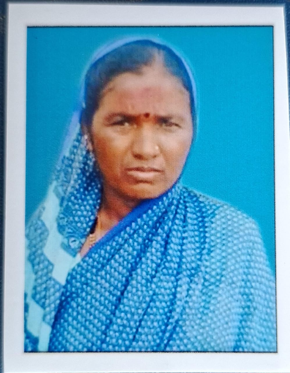 सदस्य